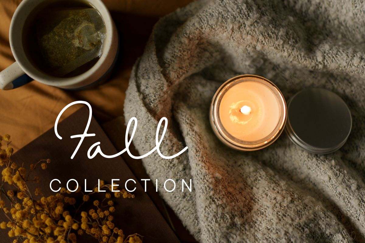 Fall Collection 🍂