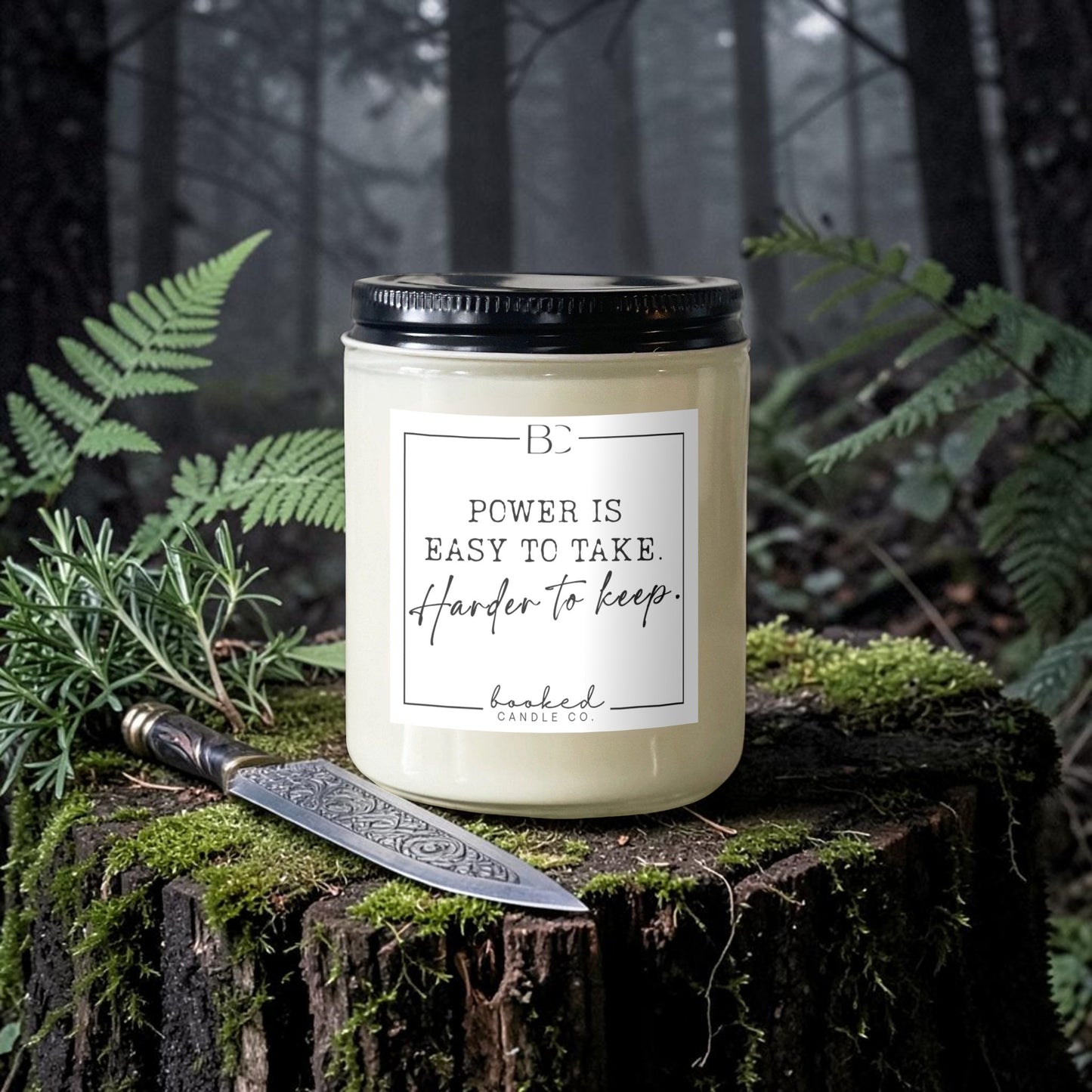 Power Is Easy To Take. Harder To Keep - Cruel Prince Inspired